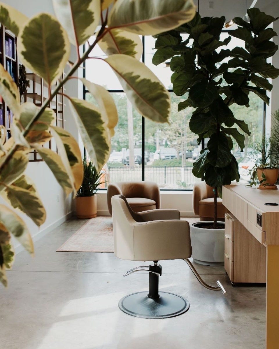 sustainable hair salon with lots of plants, natural light and high-quality salon furniture