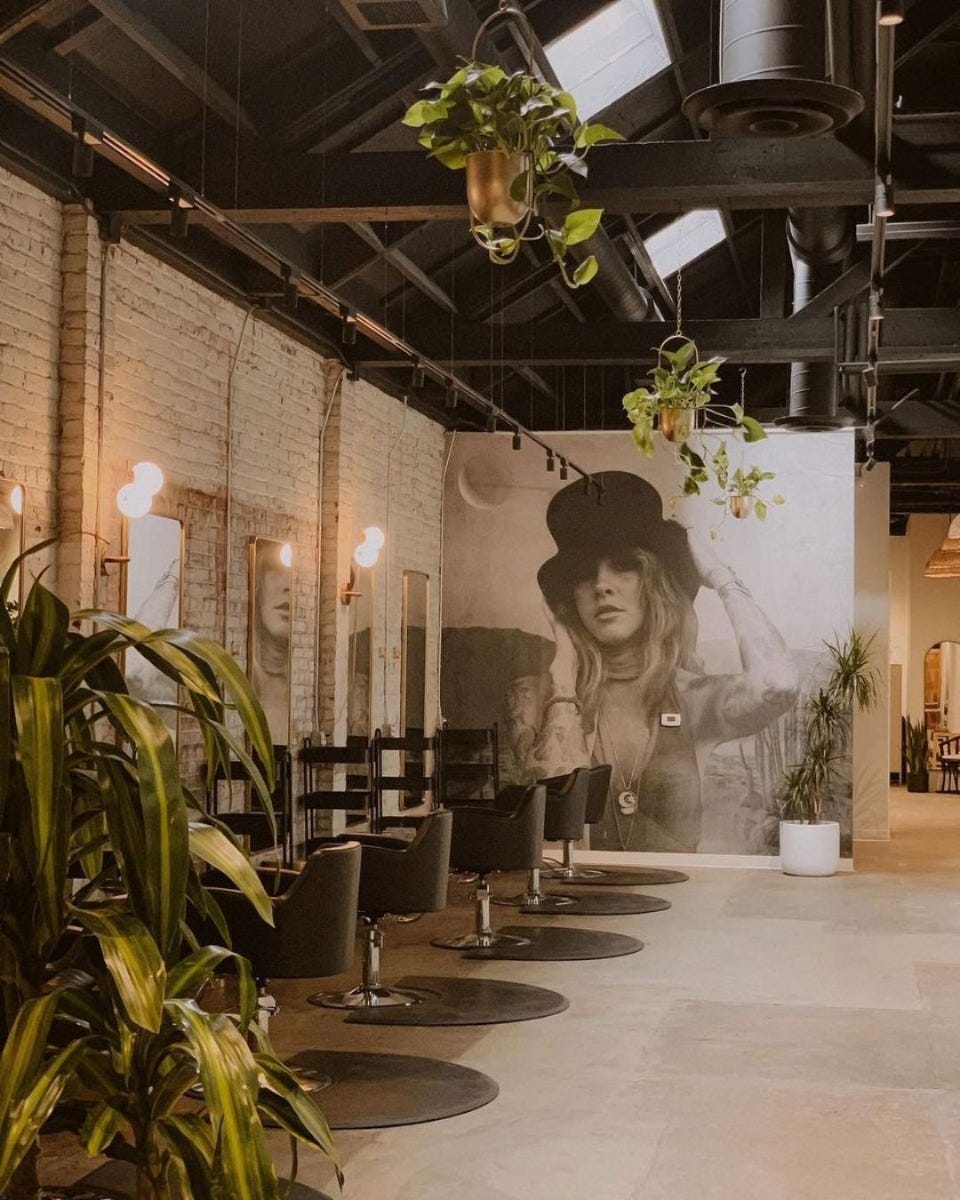 boho salon with plants