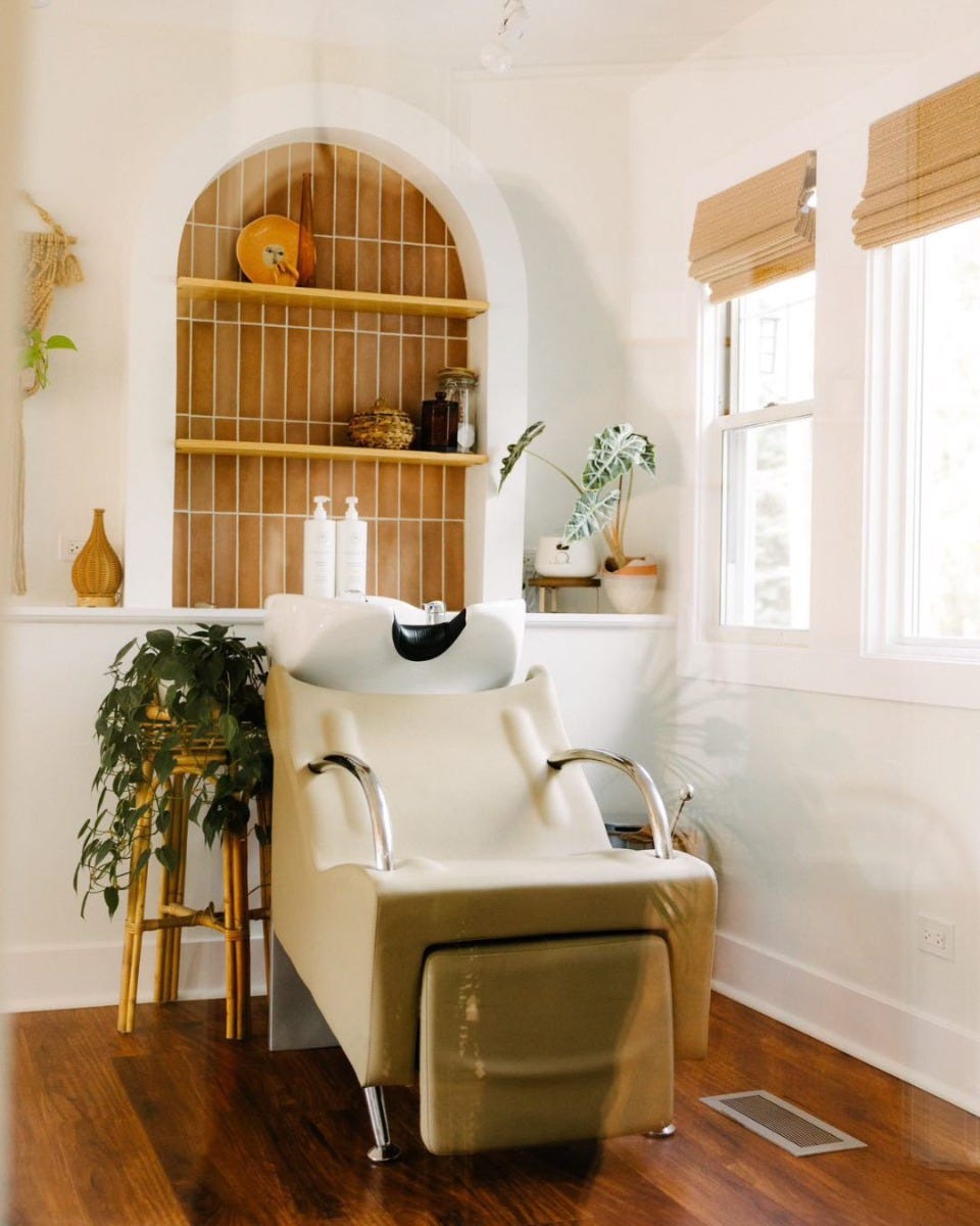 stylish and budget-friendly salon shampoo system