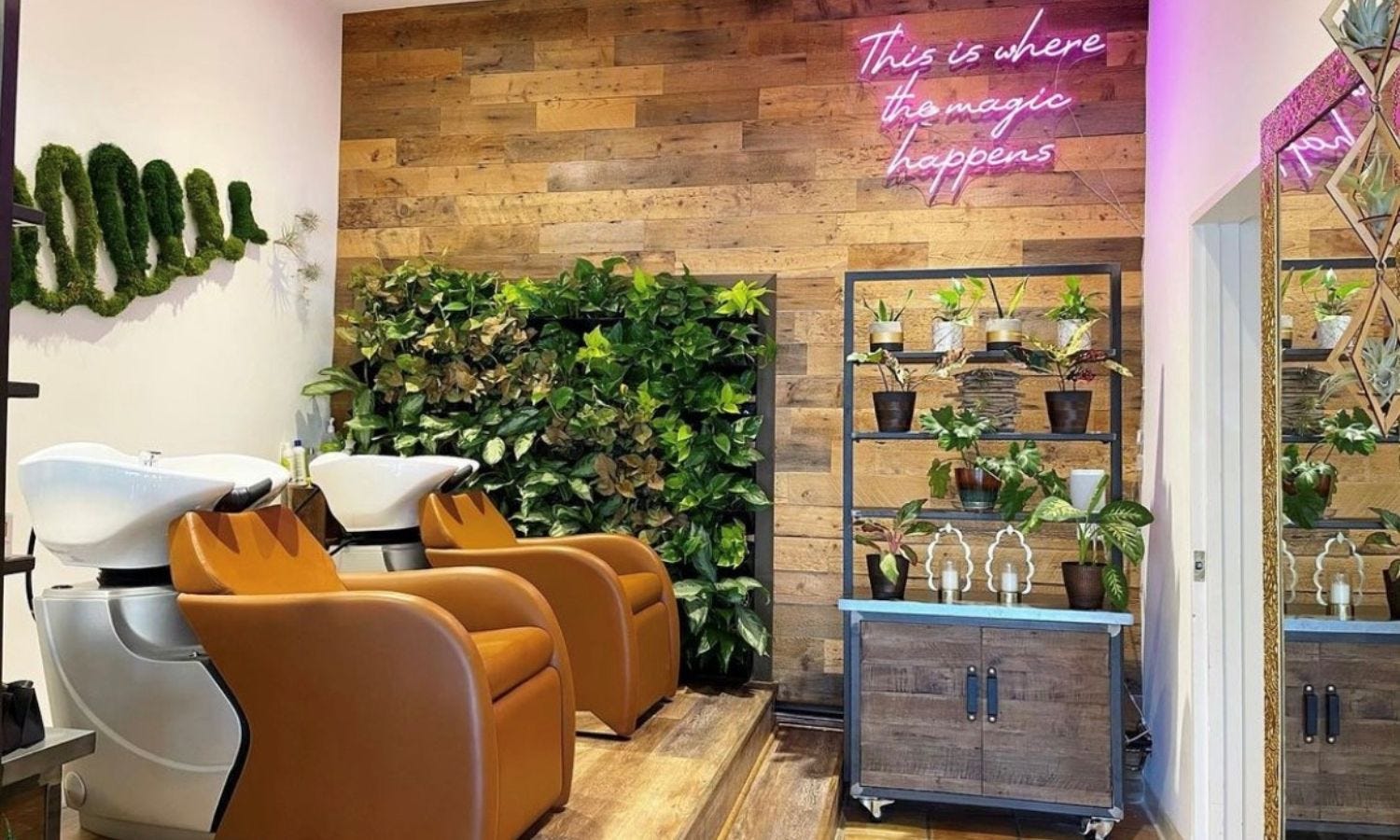 environmentally friendly hair salon with wall paneling, decor and furniture made from sustainable materials